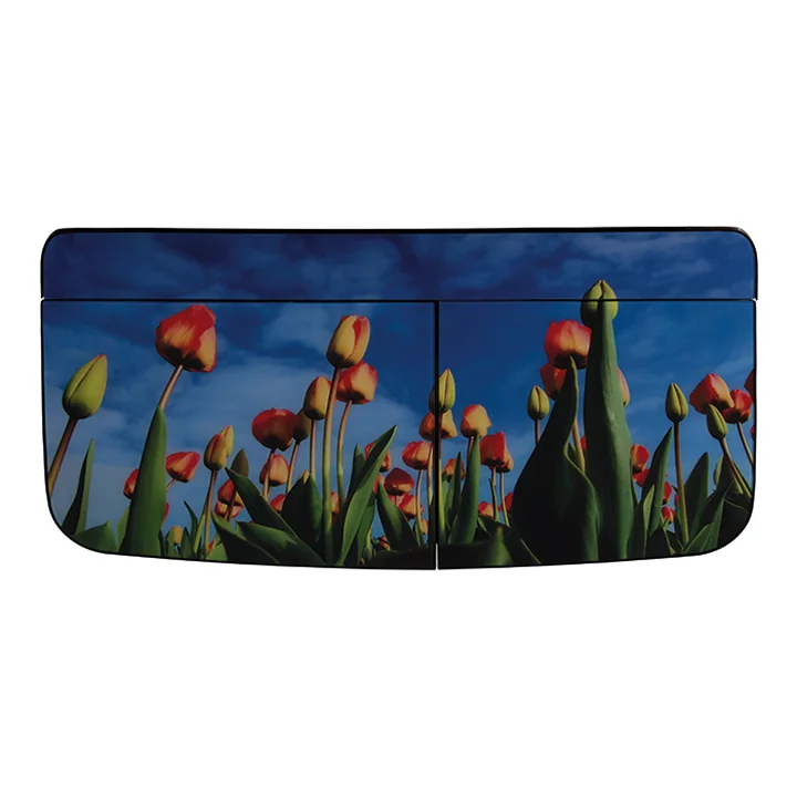 ماشین لباسشویی دوقلو اینترناسیونال آنیل مدل F14